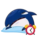 🦈