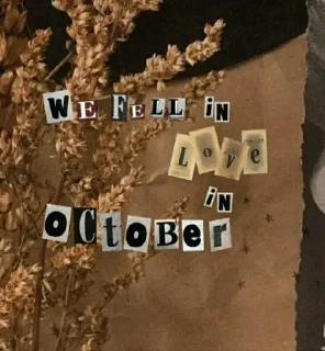 🍂