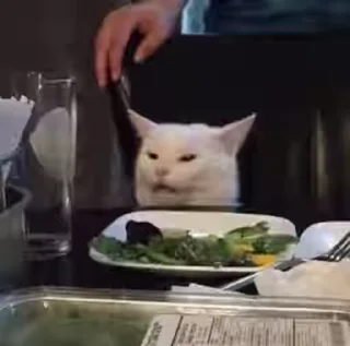 😾