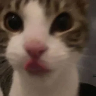 💗