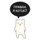 😻