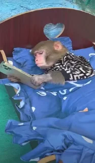 🥱