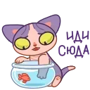 🐠