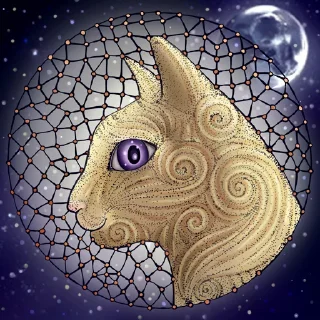 🌙