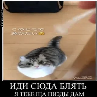 🤬