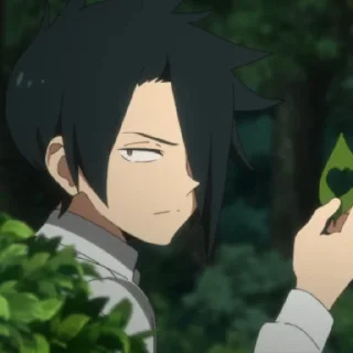 🍁