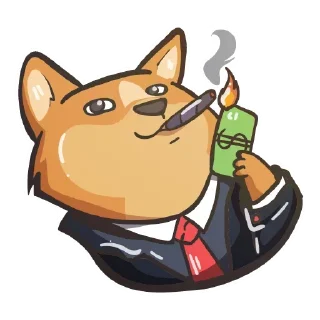 Crypto Doge