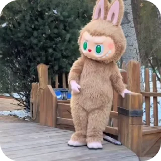 🧦