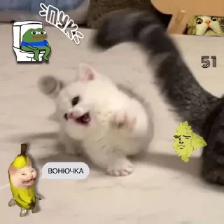 💩
