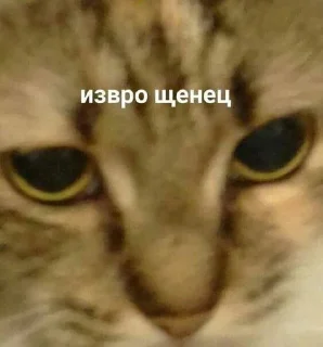 🤔