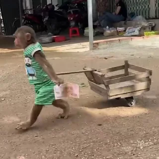 🛒