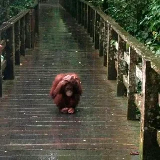 😓