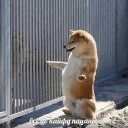 😁