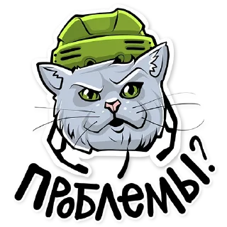 🐱