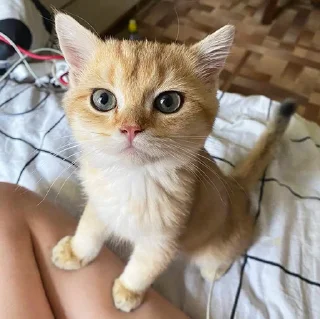 🌝