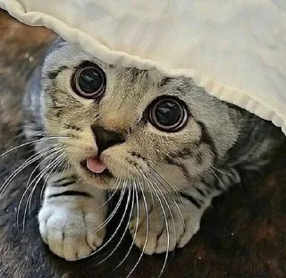 😐