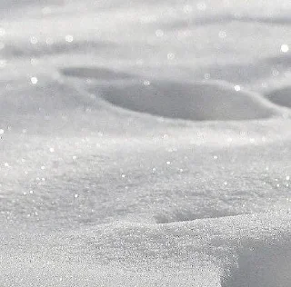 ❄️