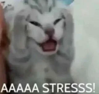 🥶