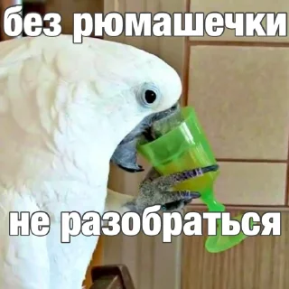 🥂