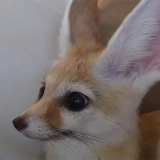 😳