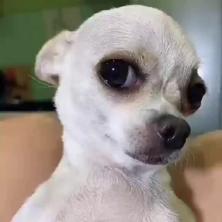 😏