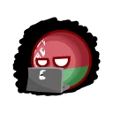 💻