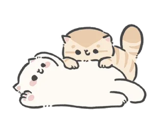 🐱