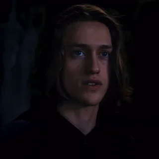 🕷️