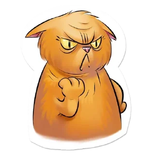 😾