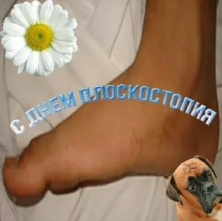 🎉