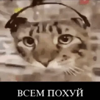 🎧