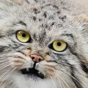 😐