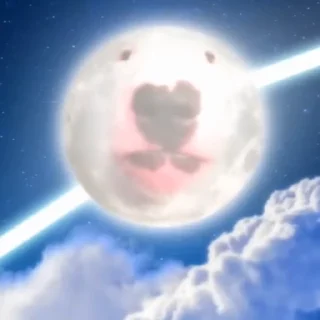 🌚