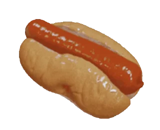 🌭