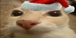 🧑‍🎄
