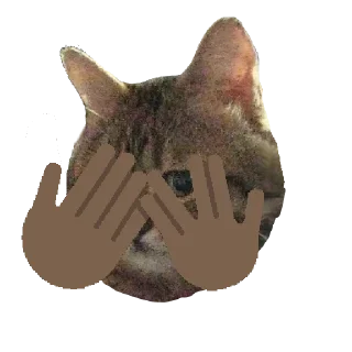 🫣