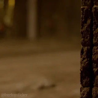 🤨
