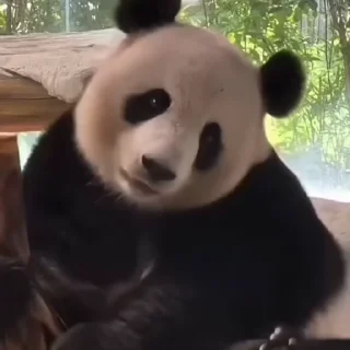 ☺️