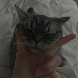 💗