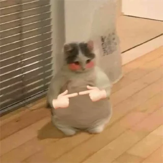 🐈