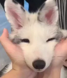 🥰