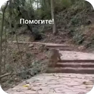 🏃