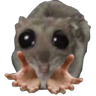 🤲