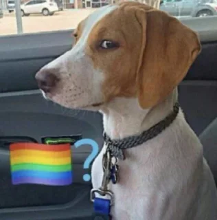 🏳️‍🌈