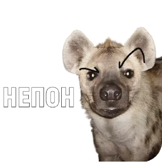 ❓