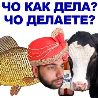 🐠