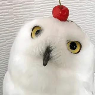😁