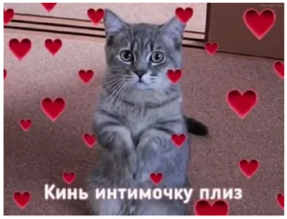 😺