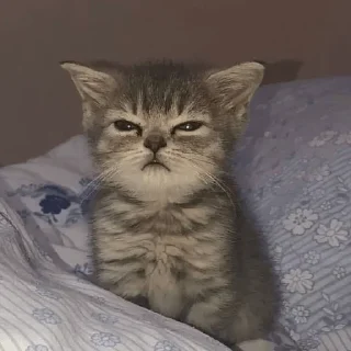 😑