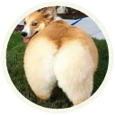 😛